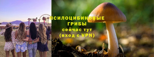 дживик Абинск