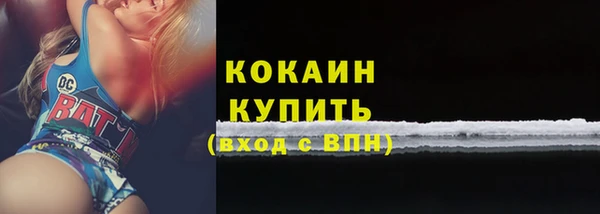 дживик Абинск