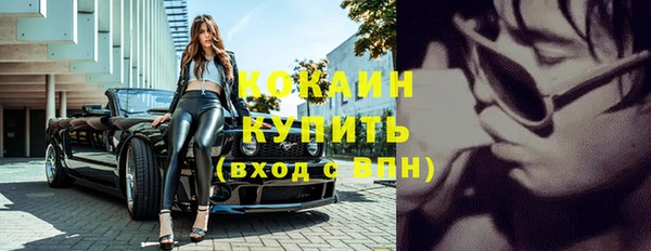 дживик Абинск