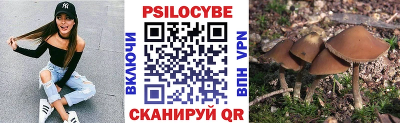 Галлюциногенные грибы ЛСД Островной